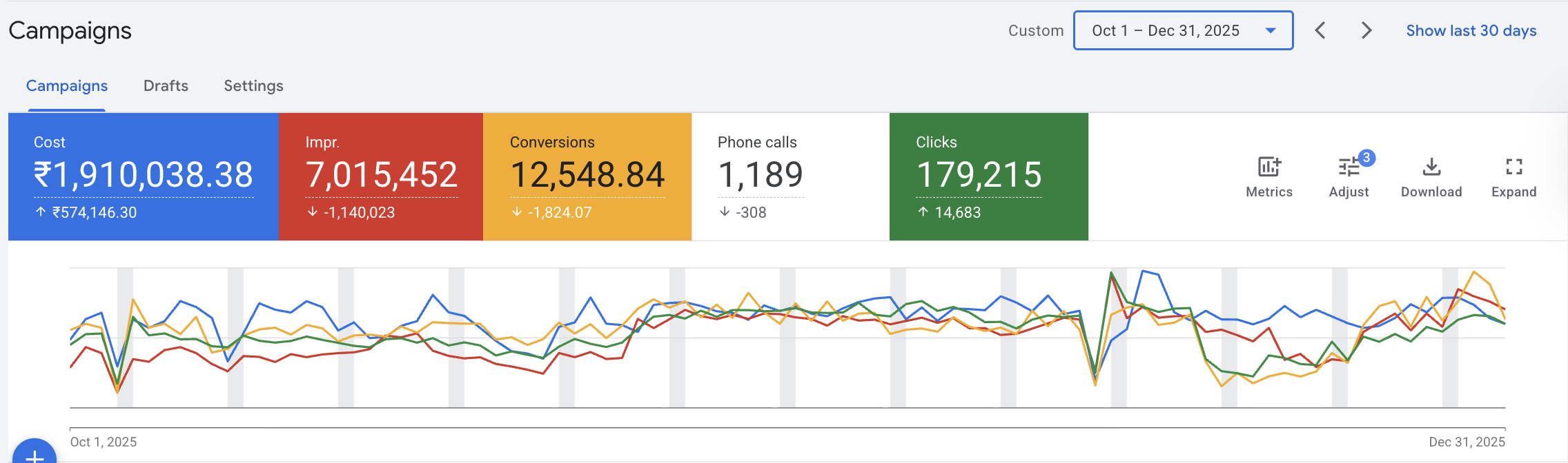 Healthcare Elder Care Google Ads — India Annual Performance